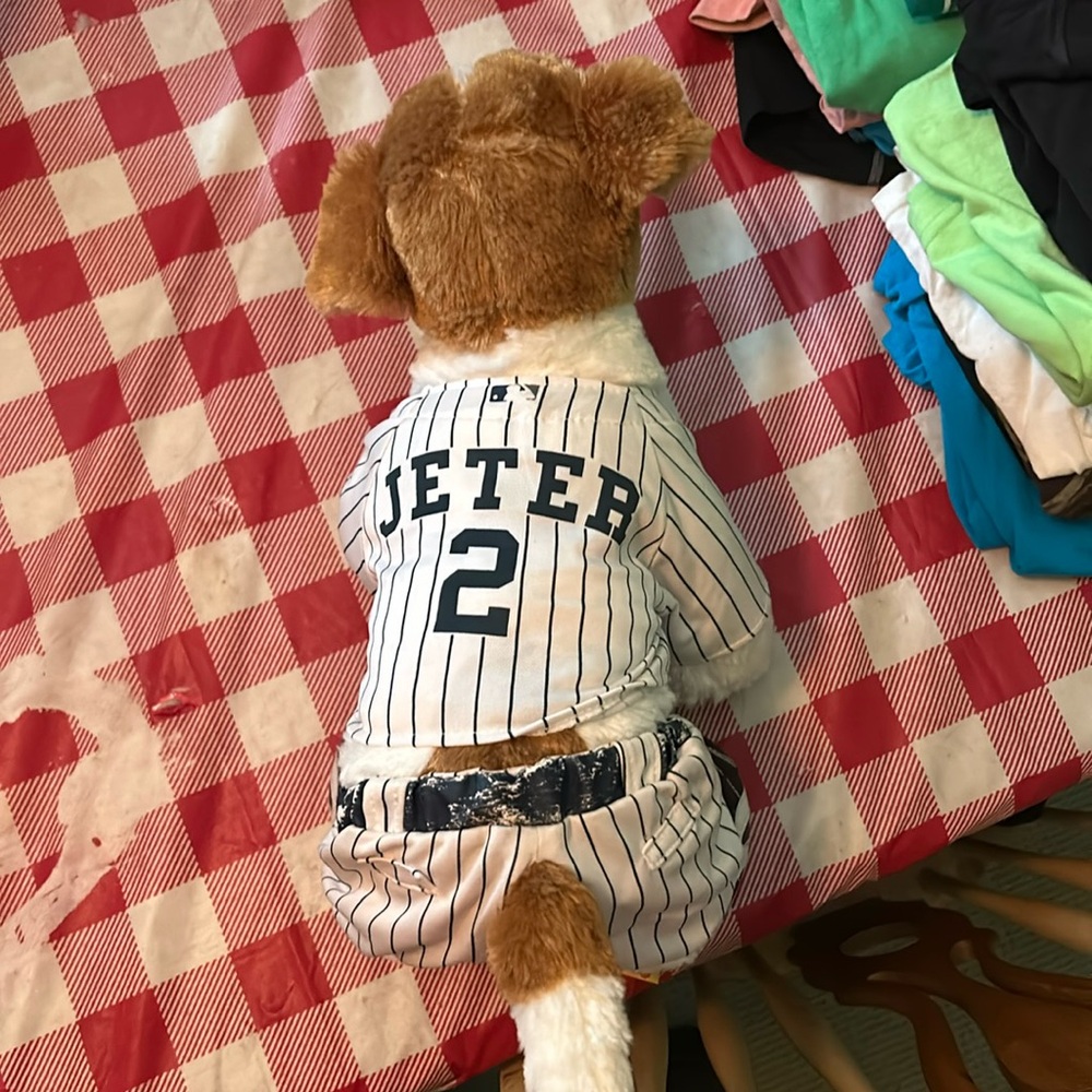 Derek Jeter Build•a•Bear Dog